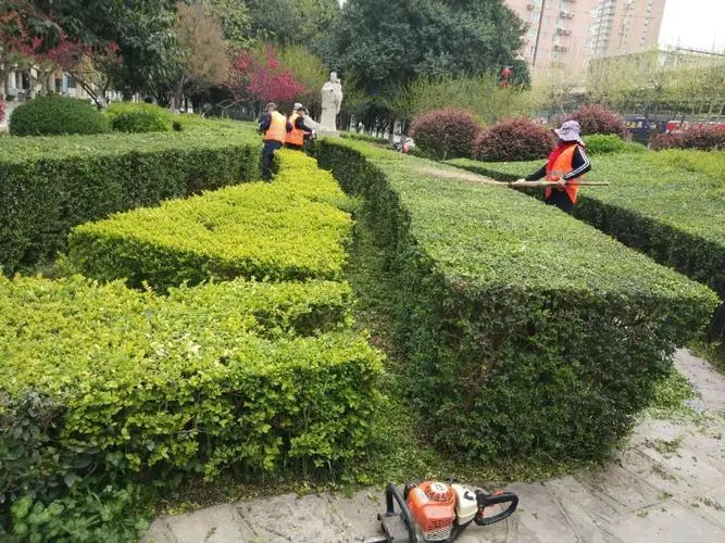 陜西渭南市蒲城縣綠化工程 陜西渭南市蒲城縣綠化工程