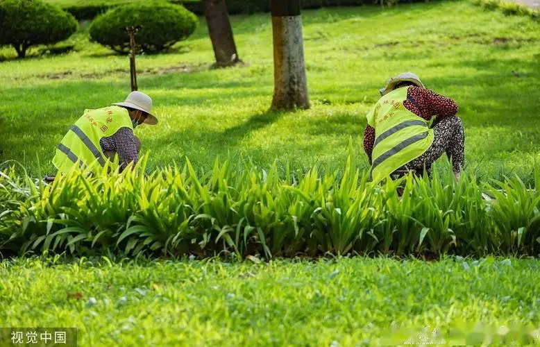 園林綠化工程金屬隔斷設(shè)計(jì)規(guī)范