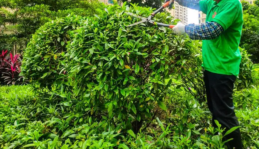 公園園林景觀設(shè)計(jì)過(guò)程
