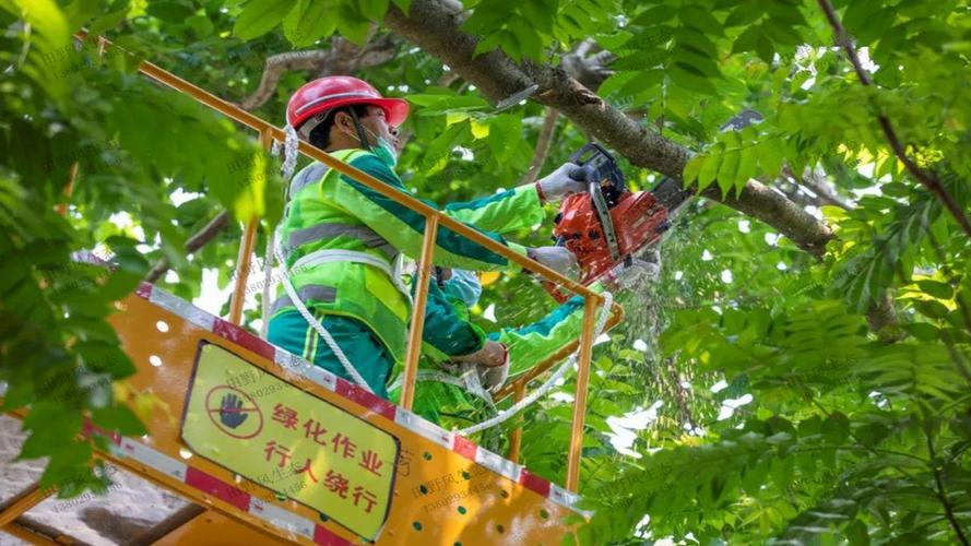 宿遷秋之景園林綠化工程
