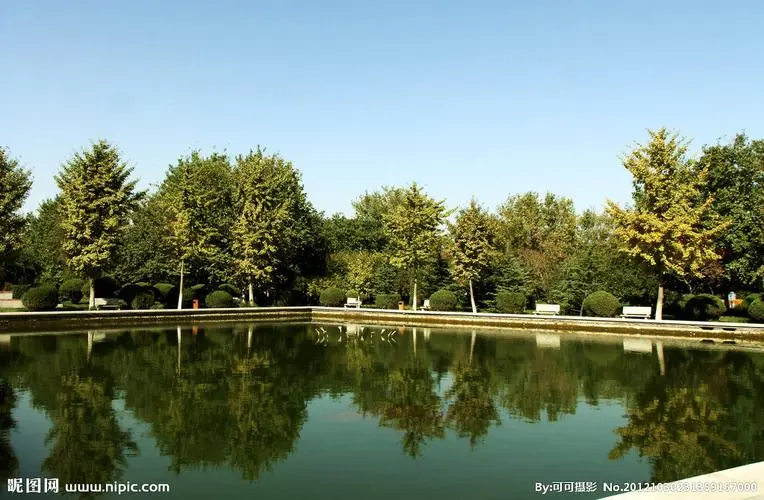 園林管理處問題嚴(yán)重，文明花園變成亂堆垃圾場(chǎng)，環(huán)衛(wèi)到底在哪兒？